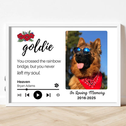 Personalized Dog Memorial Frame – "Rainbow Bridge, Never Left" – Poppy Floral – Horizontal
