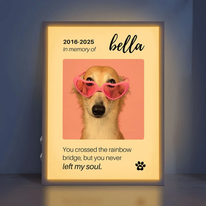 Personalized Dog Memorial Frame – "Rainbow Bridge, Never Left" – Vertical